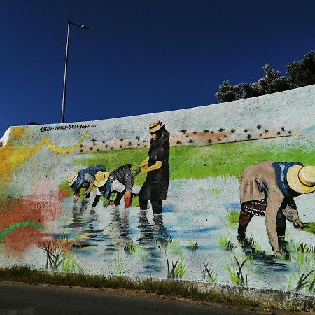 Venancio Alojamento Apartman Alcácer do Sal Kültér fotó